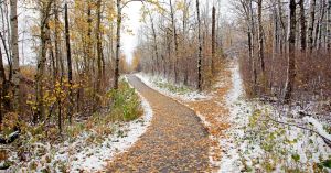 Seeing Is Not Always Knowing: The Limits of Visual Authority