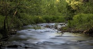 From River to Stream: How Vulnerability Becomes Illness