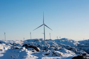 KI? Nei, bare helt vanlig naturødeleggelse