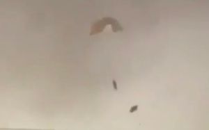 Kuwait says ‘several’ US warplanes crashed in the country, all crew survived