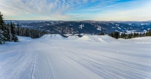 An Avalanche Catastrophe as a Psychological Event