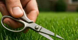 Many Subtle Compulsions Feel Chosen and Reasonable