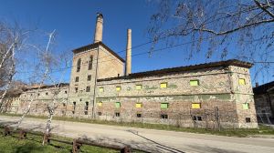 Bili smo u Vajfertovoj pivari i razgovarali sa mladim ljudima koji je spasavaju: Bunt koji je Evropa čula