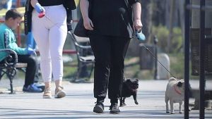 Srbija se suočava sa alarmantnim porastom gojaznosti