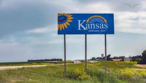 An online meltdown over a return to biological reality in Kansas