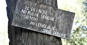 Fluent at Home, Silent at Work: Growing Up Bilingual