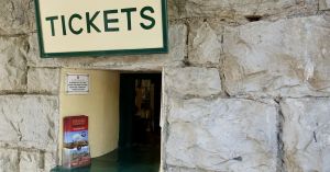 Neuroplasticity Across the Lifespan