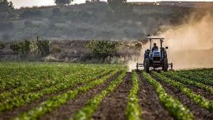 Ekilmeyen arazi bırakmamalıyız