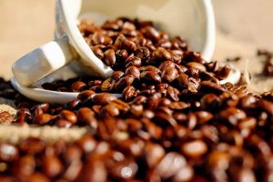 Tu café matutino podría ayudar a combatir el cáncer