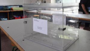 La frágil promesa de la democracia