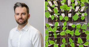 Firm secures millions in funding to protect farmers' crops using AI gene editing tech