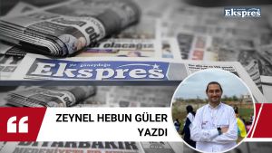 Gönüller yapmaya geldim