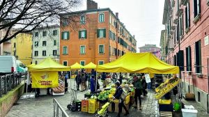 Tra prodotti locali e ciacole: viaggio nel mercato di Santa Marta, dove il lunedì sa di domenica