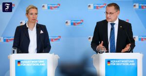 Eine Wende im AfD-Bild