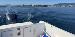 Agua de lastre: los peligrosos polizones que viajan en los barcos