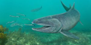 New fossil reveals the weird ‘tooth cushions’ of an apex predator from 425 million years ago