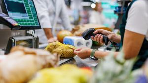 Stagisti al posto dei lavoratori, la denuncia: “Pagati 500 euro al mese, almeno 150 casi”