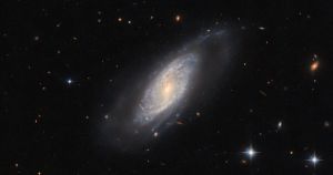 Confira o horóscopo para o seu signo nesta quinta-feira, dia 5 de março