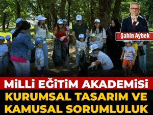 Milli Eğitim Akademisi: Kurumsal tasarım ve kamusal sorumluluk