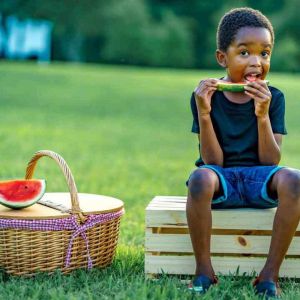 Coma sementes, a casca e a polpa da melancia