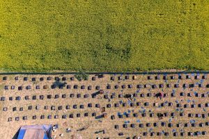 Des territoires coulés dans nos veines