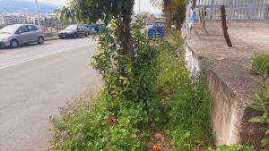 Τα πεζοδρόµια πρέπει να...