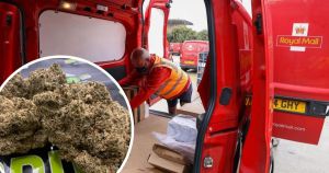 Drug dealer nabbed after postal workers notice cannabis pong from parcel