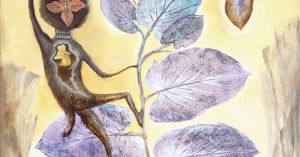 Michael Pollan’s hunt for consciousness