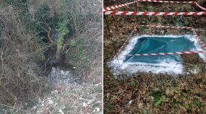 Carcasse di vitelli abbandonate in un fosso a Costrignano: si indaga