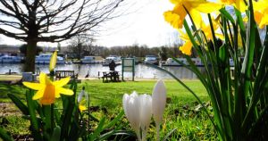 Norfolk to be hotter than Lisbon as spring sunshine hits county