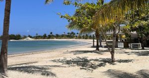 The bewildering world of travel