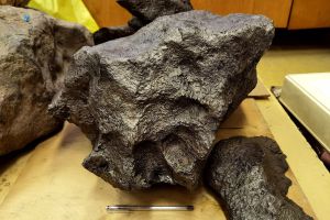 Необычные включения: ученый рассказал, чем привлекателен для коллекционеров метеорит Дронино