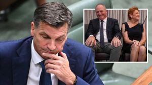 Campbell: Coalition needs to slow One Nation’s rampaging momentum