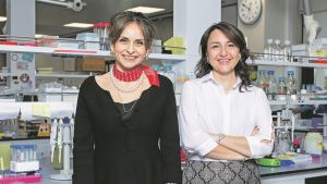 ‘Geri dönüşü mümkün değil’ denilen kanser vakalarına çare arıyorlar