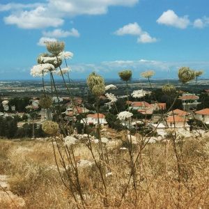 Love and Disappointment in the Land of Israel