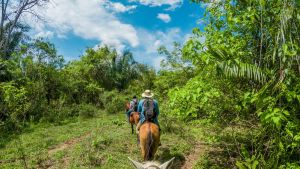 Altillanura: donde el próximo presidente debe poner el acelerador