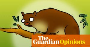 Marsupials in the news again? Yes! And this time it’s good news