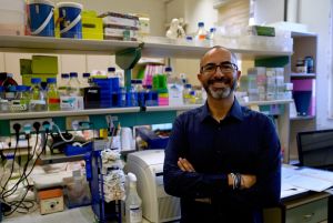 Israeli researchers find cannabis compounds could lead to 1st drug for fatty liver disease