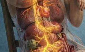 Kriz dönemlerinde vücudun acil uyarı sistemi – VAGUS