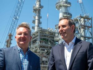 Smile now, pay later: Green fuel lunacy has us running on empty