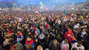 Džava koja se plaši studenta na koncertu violine