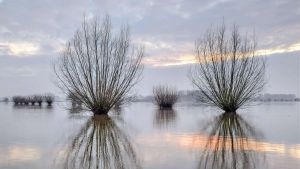 Wie die Zerstörung der Natur uns lebensrettende Wirkstoffe kostet