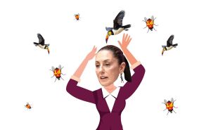 Cría Tucanes y te sacarán los ojos