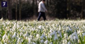 Gut-Wetter-Glückszwang gibt es nicht