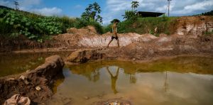 Venezuela’s fragile forests face rising risks as US pushes for oil and critical minerals and illegal gold mining spreads