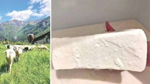 Due fratelli rilanciano la tradizione: il formaggio salato di pecora Gambon nelle cucine dei ristoranti stellati