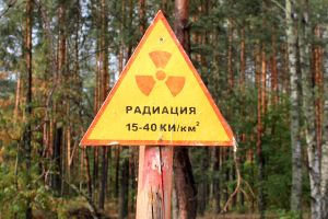 «Может произойти заражение пустыни»: атомщик рассказал, что случится при поражении секретного израильского центра в Димоне