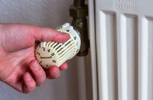 Mannheims neue Klimaschutz-Förderprogramme: Mehr Frust als Lust