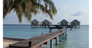 На Малдивите няма военни действия, опитайте да се приберете... през Индия и Грузия