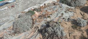 Τσιµέντο να γίνει…